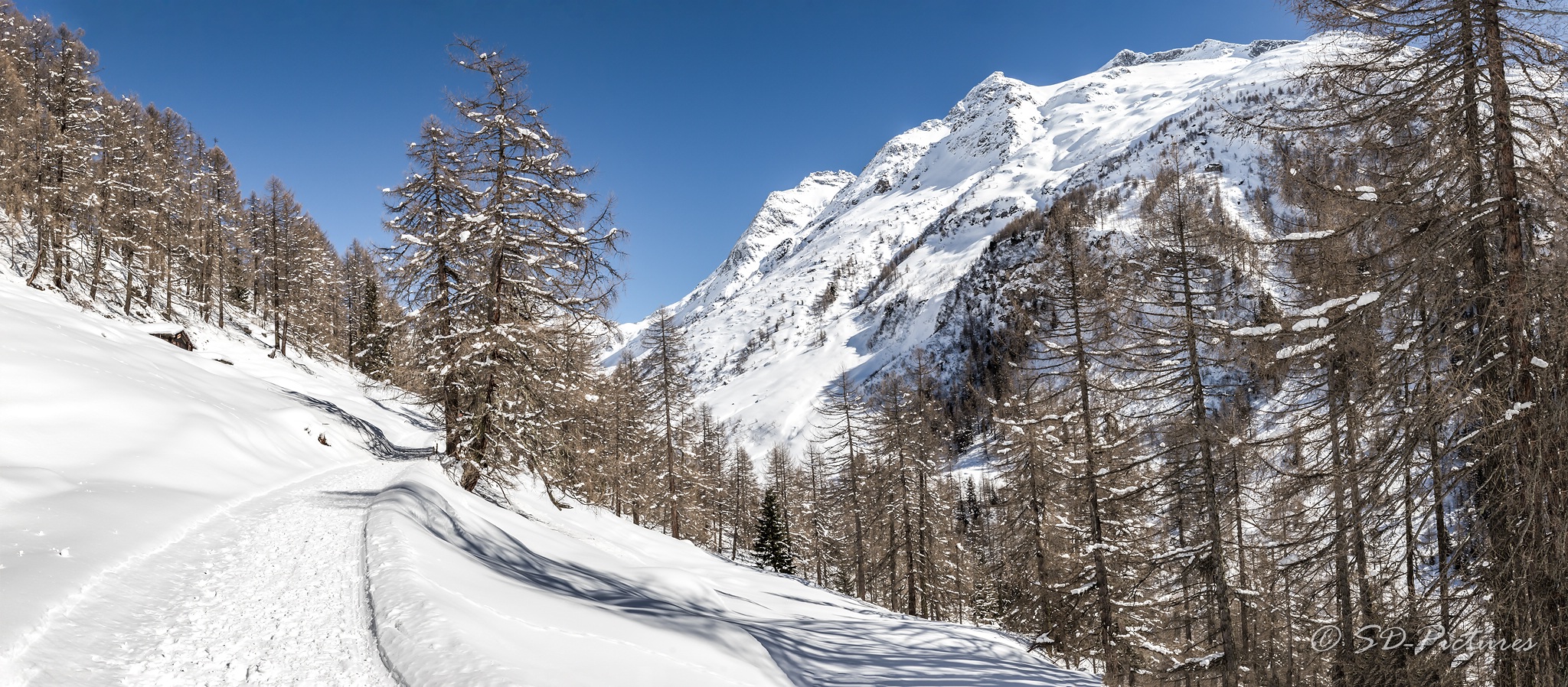 WEB  DP 2179 Pano als Smartobjekt 1 Kopie